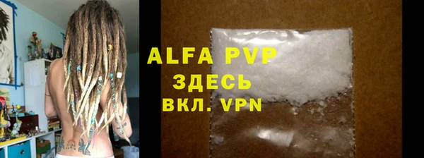 индика Тобольск