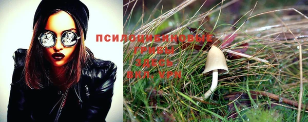 гидропоника Тихвин